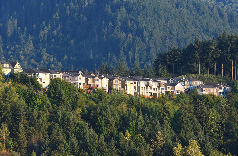 The image shows a serene landscape with a residential area nestled in the midst of lush green trees. Houses, varying in size and design, are interspersed throughout the scene, with some appearing more prominently due to their proximity to the viewer. The architecture suggests a modern suburban setting. In the background, the natural environment is highlighted by the presence of rolling hills and patches of what appears to be mist or fog. There's an expanse of open sky visible above the houses, suggesting a clear day with ample sunlight. The overall impression is one of tranquility and a harmonious blend of nature and human habitation.